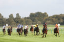Race 4 - Five Angels (4)