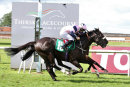 Race 4 - Florenza Moonlightnavigator (17)