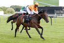Race 4 - Givepeaceachance (10)