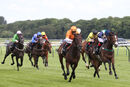 Race 4 - Givepeaceachance (4)