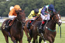 Race 4 - Givepeaceachance (5)
