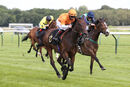 Race 4 - Givepeaceachance (8)