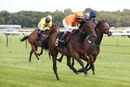 Race 4 - Givepeaceachance (9)