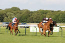 Race 4 - Goscote (3)