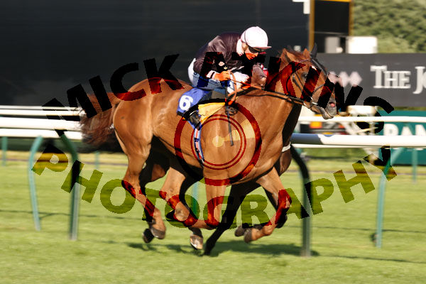 Race 4 - Goscote (6)