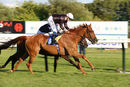 Race 4 - Goscote (9)