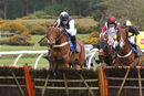 Race 4 - Gowiththeflow (3)