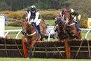 Race 4 - Gowiththeflow (4)