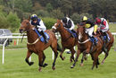 Race 4 - Gowiththeflow (5)