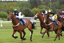 Race 4 - Gowiththeflow (6)
