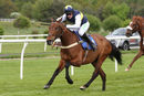 Race 4 - Gowiththeflow (7)