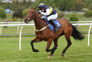 Race 4 - Gowiththeflow (8)
