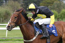 Race 4 - Gowiththeflow (9)