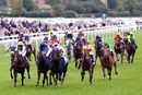 Race 4 - Gulliver (2)