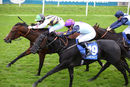 Race 4 - Gulliver (4)