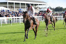 York Races - Countryside Raceday (11 Oct 19)