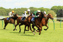 Race 4 - Harebell (9)