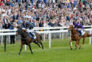 Race 4 - Harry Three (3)