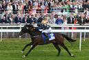 Race 4 - Harry Three (4)