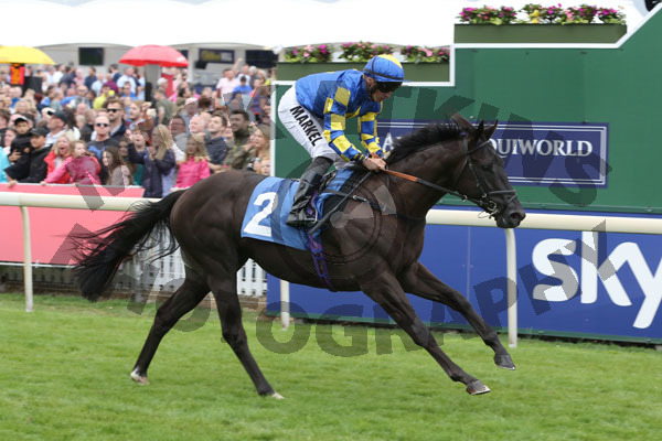 Race 4 - He zanarab (2)