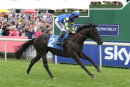 Race 4 - He zanarab (2)