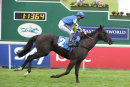 Race 4 - He zanarab (5)