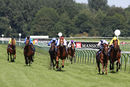Race 4 - Honest Albert (2)