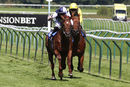 Race 4 - Honest Albert (3)