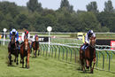 Race 4 - Honest Albert (4)