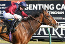 Race 4 - Hundred Isles (8)