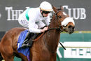 Race 4 - Im Available (2)