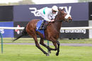 Race 4 - Im Available (3)