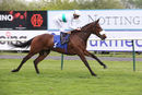 Race 4 - Im Available (5)