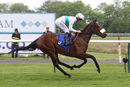 Race 4 - Im Available (6)