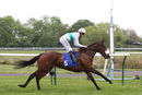 Race 4 - Im Available (7)