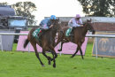 Race 4 - Inpromptu (3)