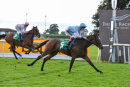 Race 4 - Inpromptu (8)