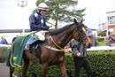 Race 4 - Iskabeg Lane (12)