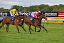 Race 4 - Jackamundo (10)