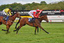 Race 4 - Jackamundo (11)