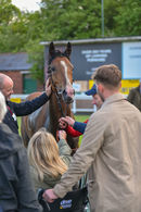 Race 4 - Jackamundo (23)
