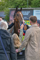 Race 4 - Jackamundo (24)