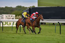Race 4 - Jackamundo (6)