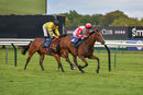 Race 4 - Jackamundo (8)
