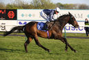 Race 4 - Juanito Chico (10)