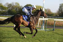 Race 4 - Juanito Chico (11)