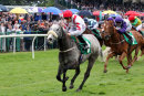 Race 4 - Kickboxer (11)