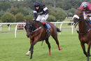 Race 4 - King Golan (10)