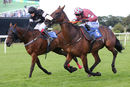 Race 4 - King Golan (12)