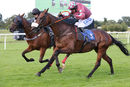 Race 4 - King Golan (13)